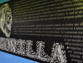 placas conmemorativas puebla